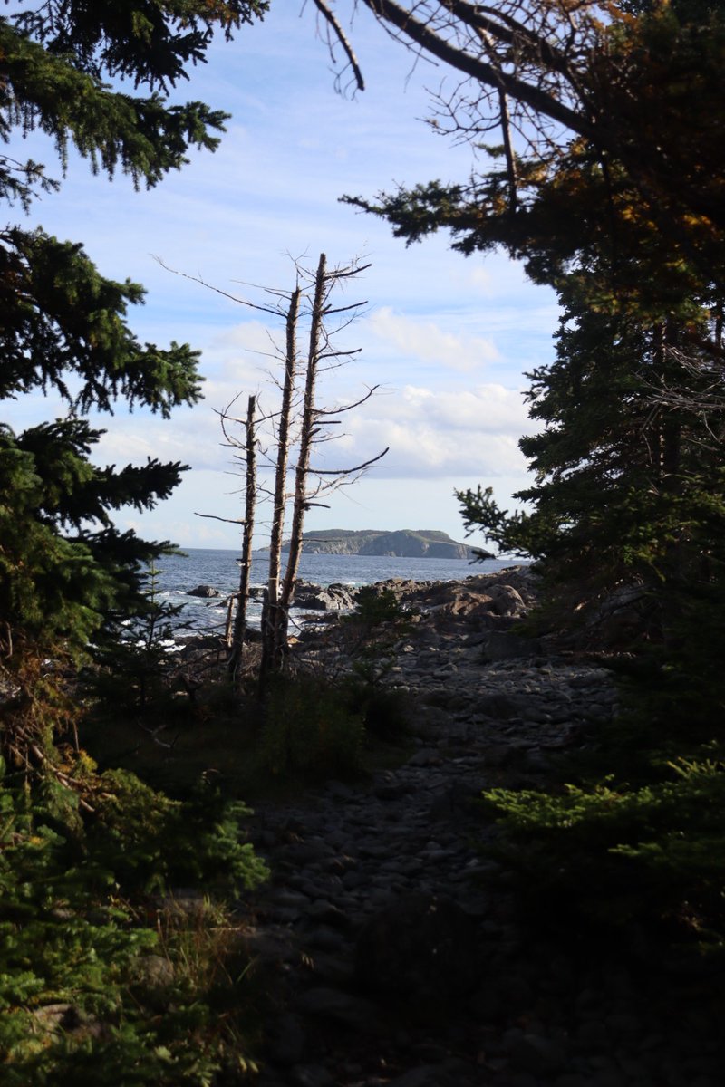 Highlights from the @EastCoastTrail between Mobile and Tors Cove on a perfect fall day.