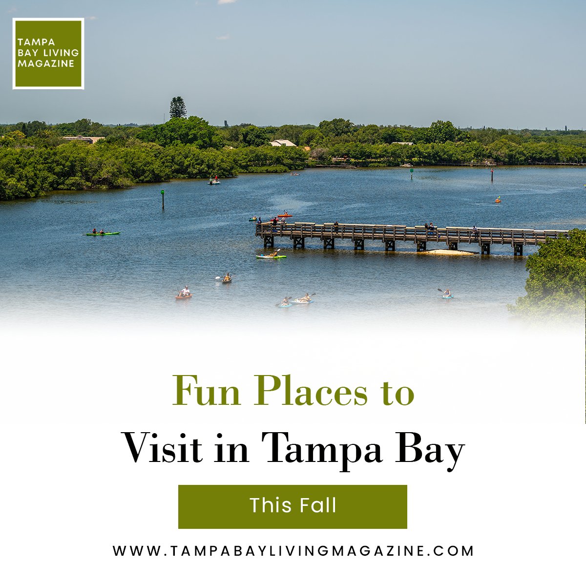 From whitewater rapids to stunning beaches, here are some of the sites that make #TampaBay a fun place to visit this fall. Read more: tampabaylivingmagazine.com/blog/fun-place… #FloridaTourism #Tampa #StPete #FloridaFun