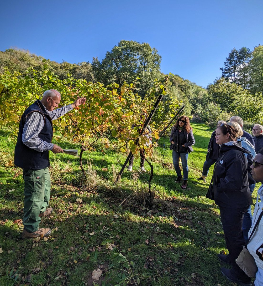 Nick Townsend tweet media