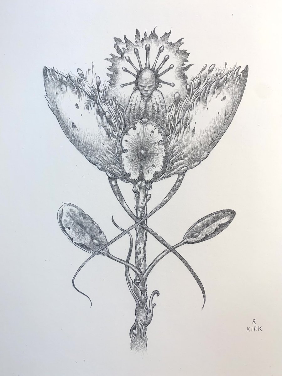 Lost_Machine's tweet image. An iPhone shot of a new silverpoint drawing completed this afternoon. #silverpoint #metalpoint #drawing #imaginaryplants