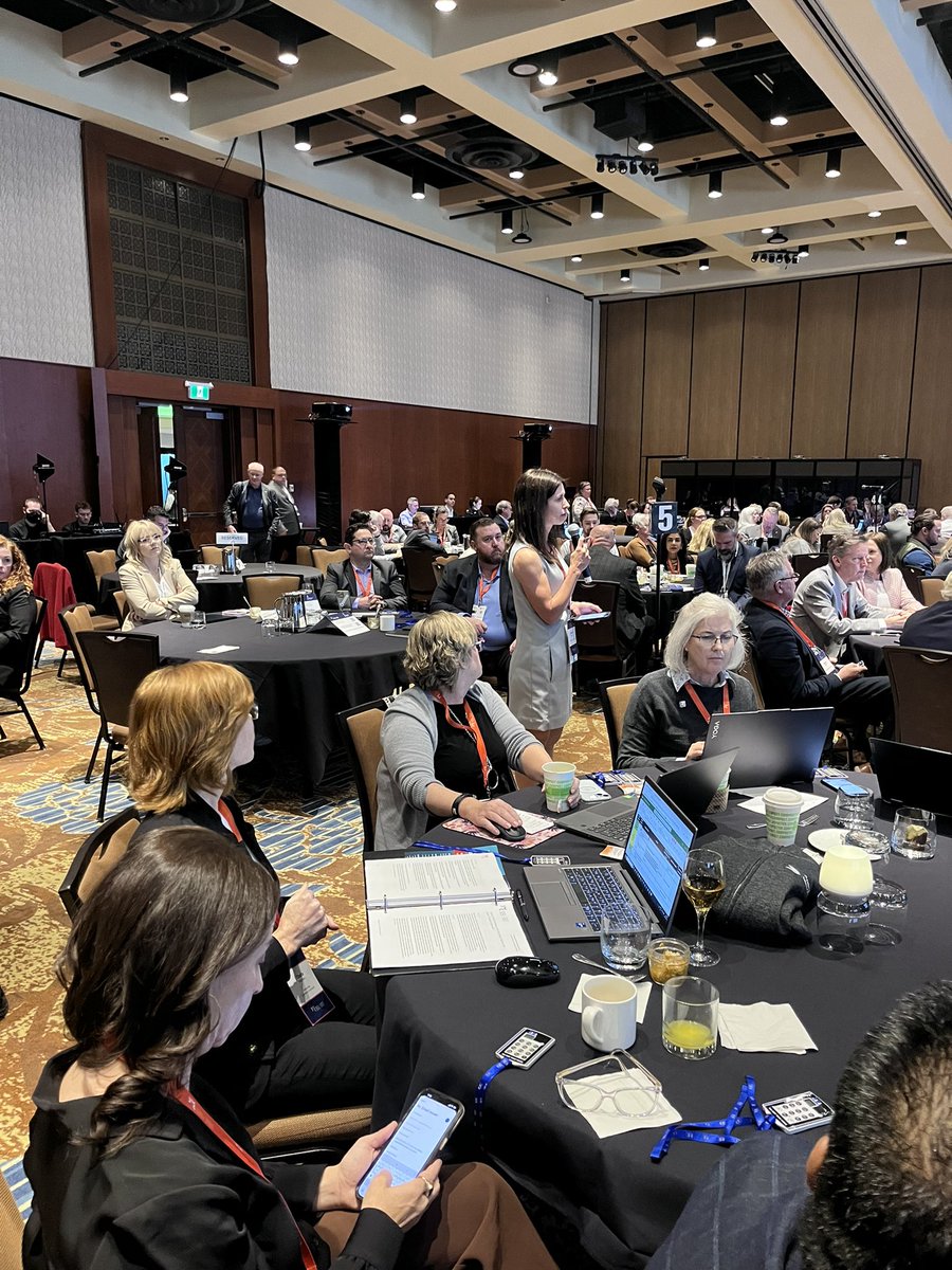 Daniel Safayeni tweet media