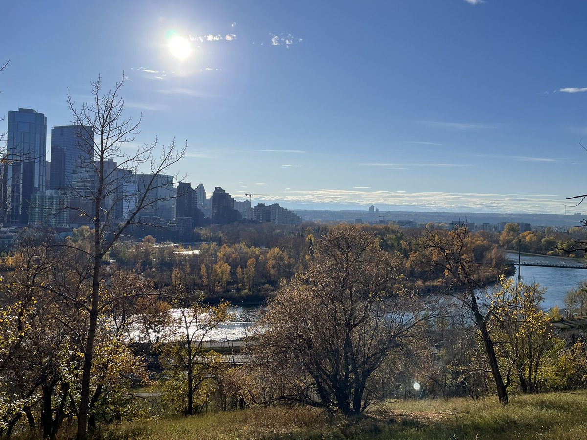 Daniel Safayeni tweet media