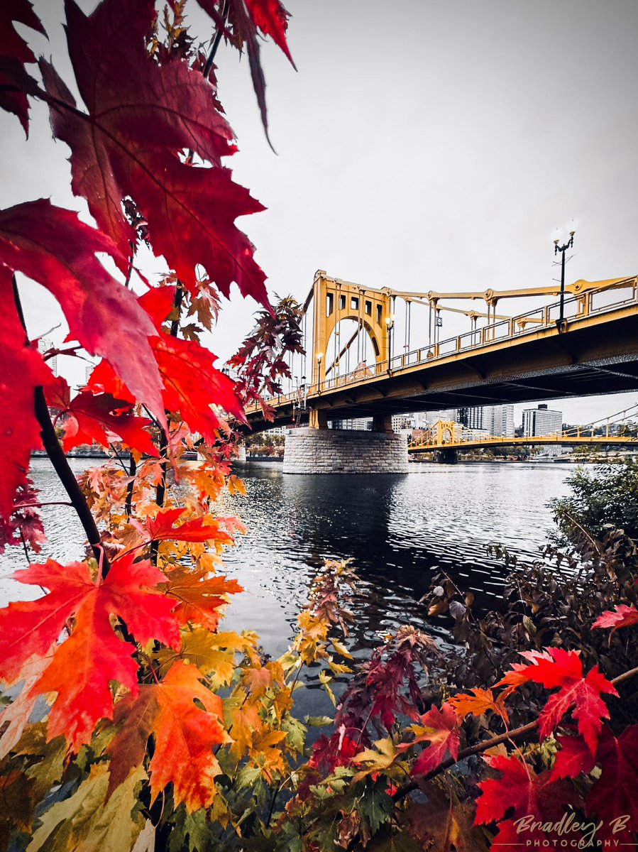 Some beautiful fall color on the north shore this morning.