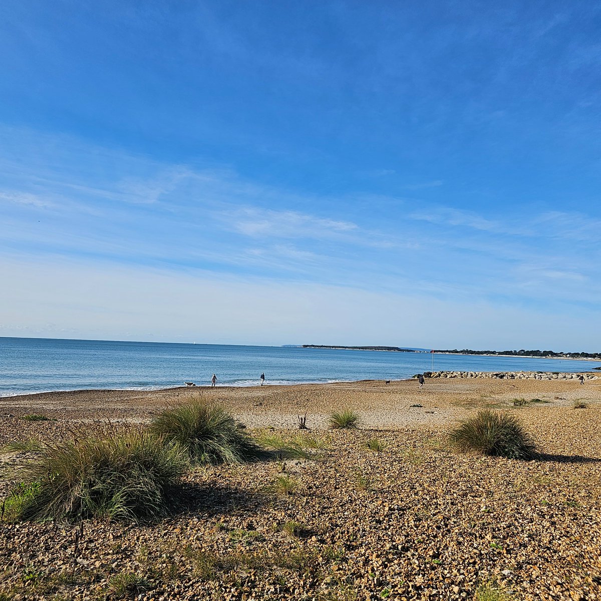 HighcliffeBeachClean tweet media