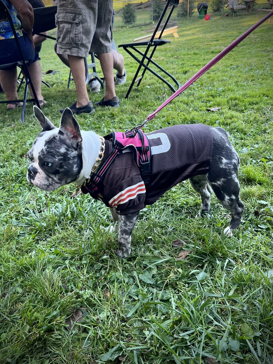 LILE216's tweet image. 