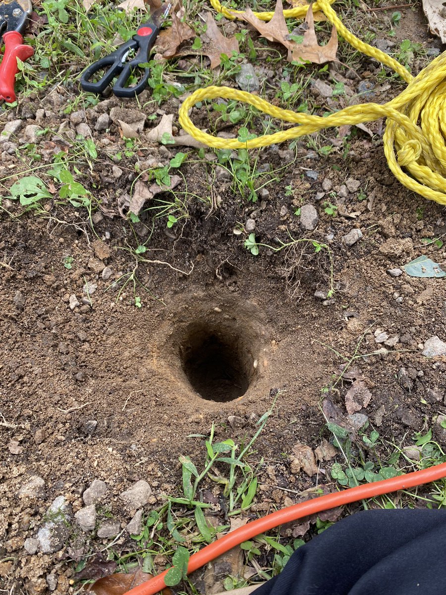 visualheretik's tweet photo. on my shit again #holes #hole #holedigging #deephole https://t.co/Y4s6m0yoPd