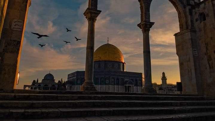 " فليسَ لهُم مِن الأقصى مكانُ
وإنْ ضجّوا فصوتُ القدسِ باقِ."💚
❤ ﷺ ❤
هي القدس مسرى الرسول و معراجه 
سيبزغ فجرك عما قريب 
و تشرق شمسك في العالمين
صلوا علي الرسول الامين
❤ ﷺ ❤