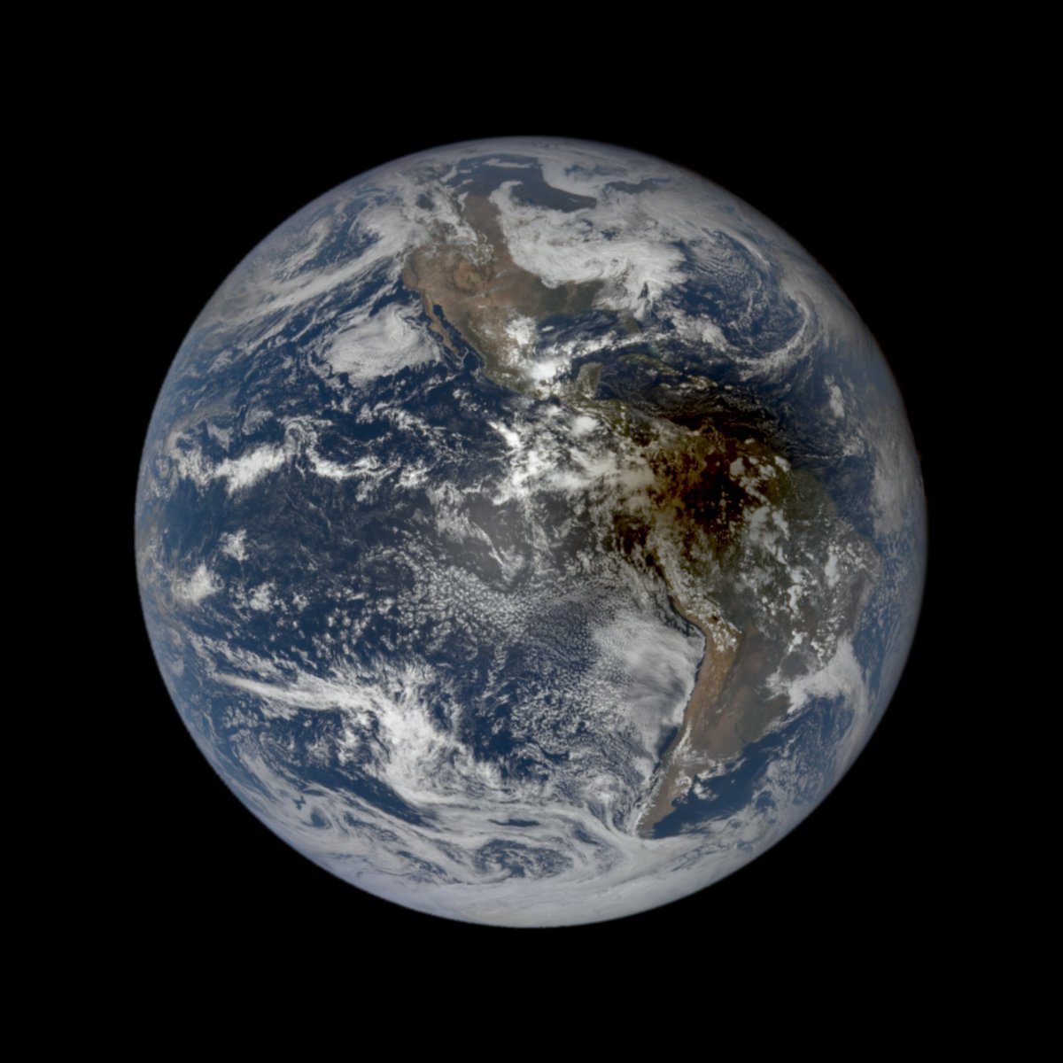 Brian T. Jacobs tweet media