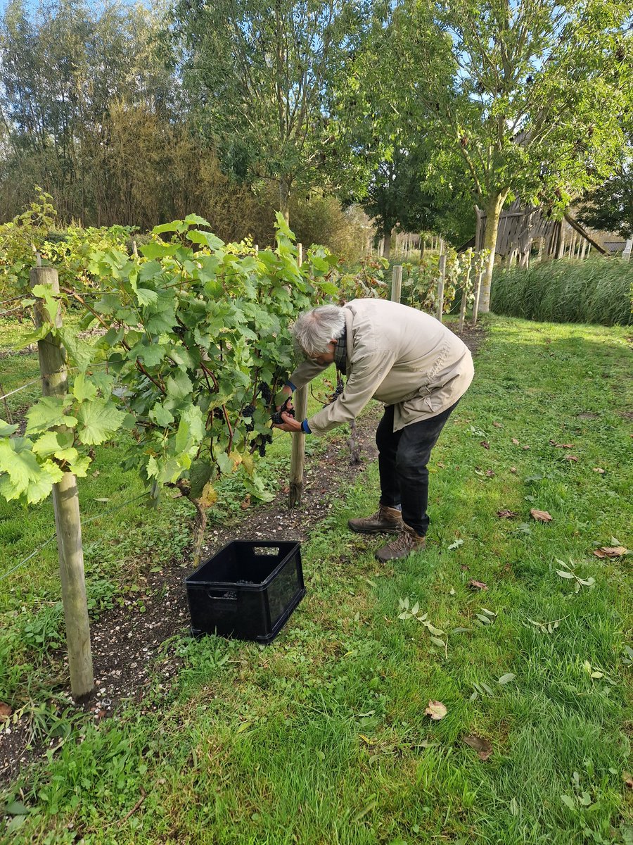 nelly spanjersberg tweet media