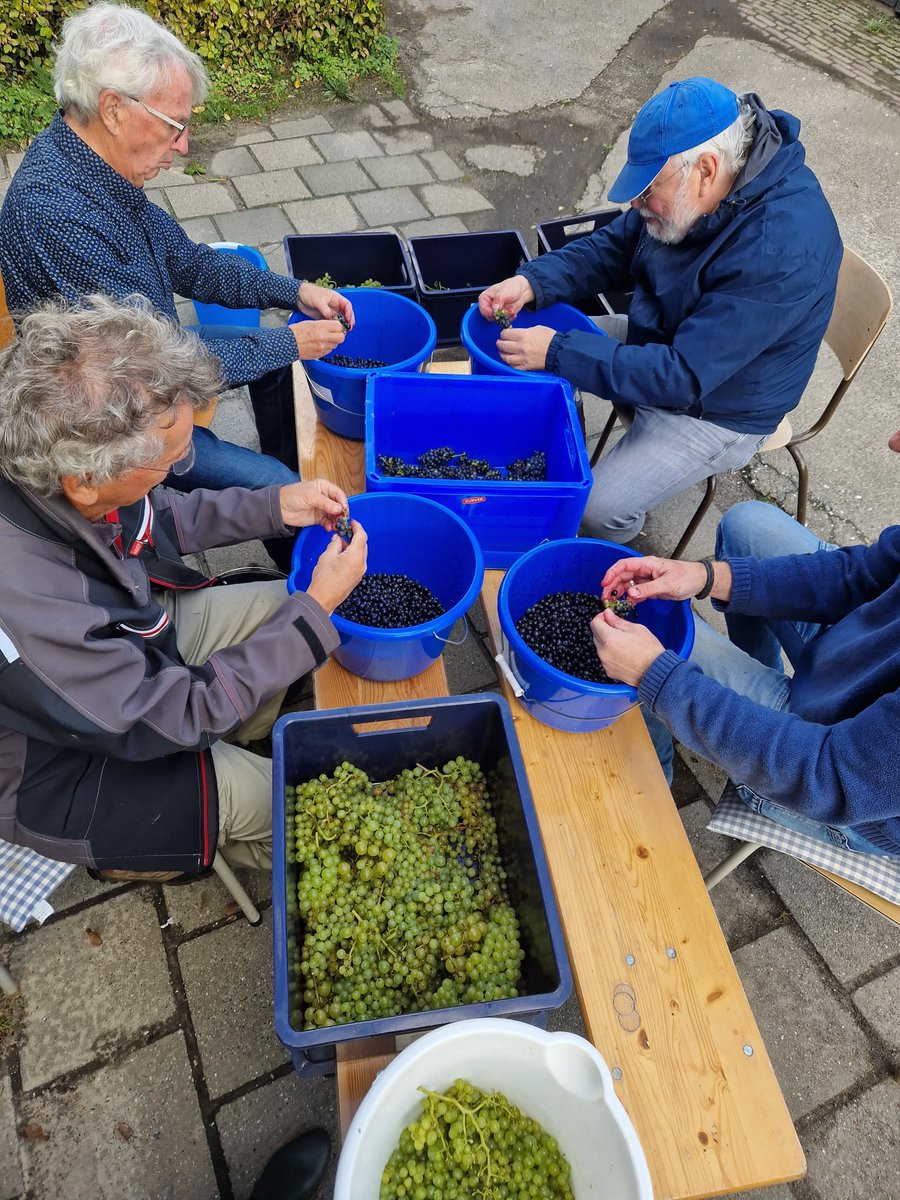 nelly spanjersberg tweet media