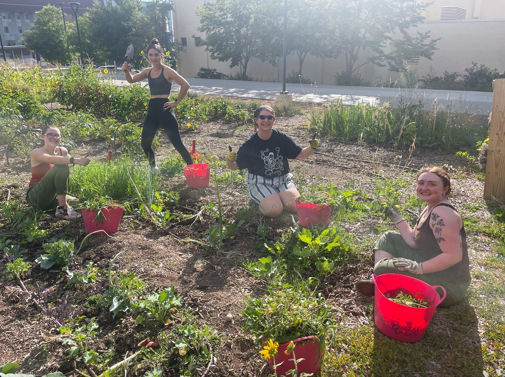 We'll be in the gardens during the following times this week--no prior registration required!

Tues:
9:30 a.m.-12 p.m. at Sill
Weds:
9 a.m.-12 p.m. at Pioneer
3-7:15 p.m. at Pioneer
Sat: 
8:30-11 a.m. at Pioneer