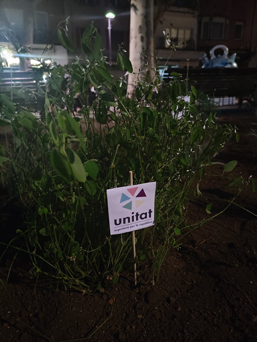 UnitatArgentona's tweet photo. Avui hem participat a l'ofrena floral per commemorar el 83è aniversari de l'afusellament de Lluís Companys i Jover, 123è President de la Generalitat de Catalunya.

Tornarem a sofrir, tornarem a lluitar, tornarem a guanyar. https://t.co/KzwcvTNtSr