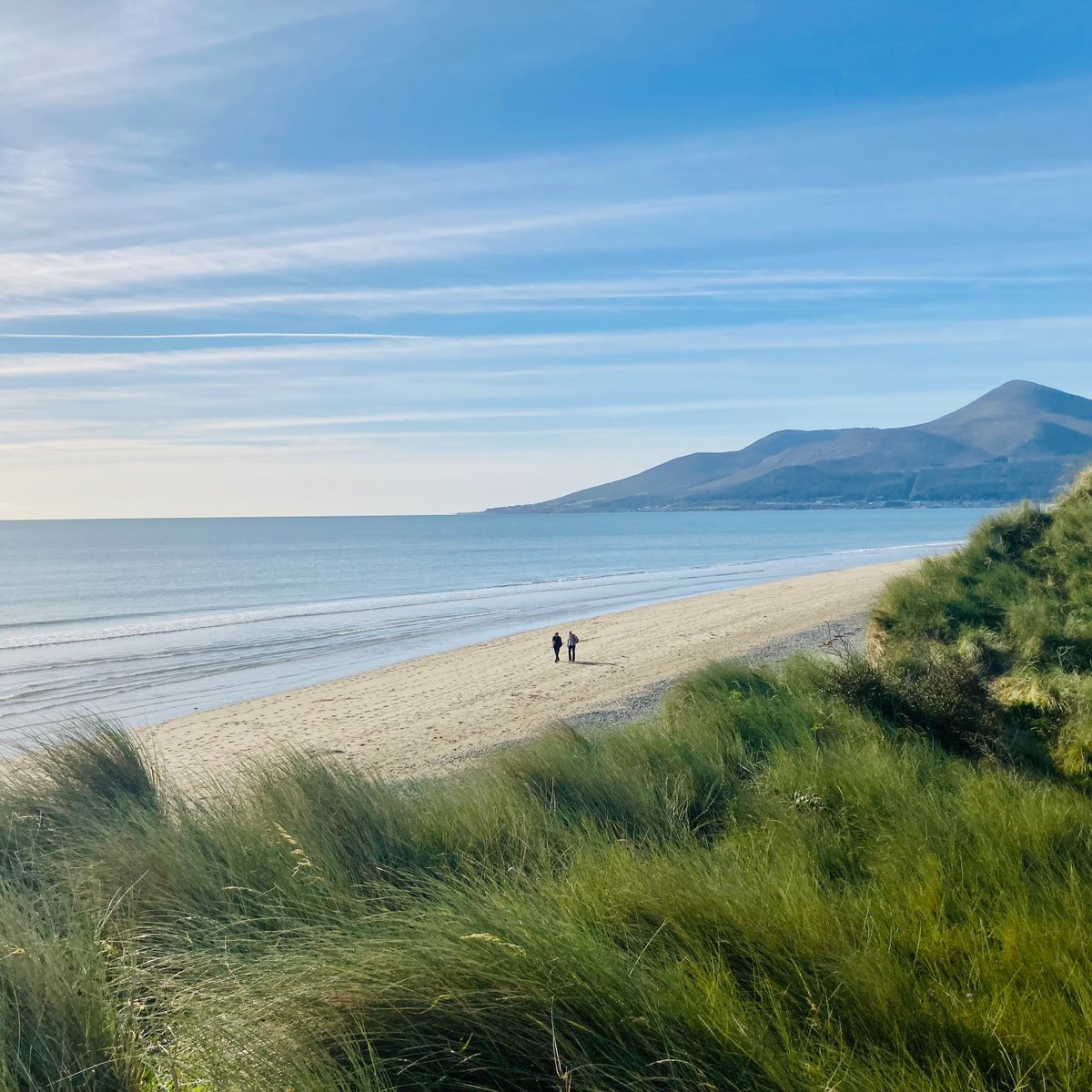 Magnificent walk in the October sunshine this morning.  All set for the week ahead! @NationalTrustNI #AGoodWalk #CoDown #MourneMountains #Murlough