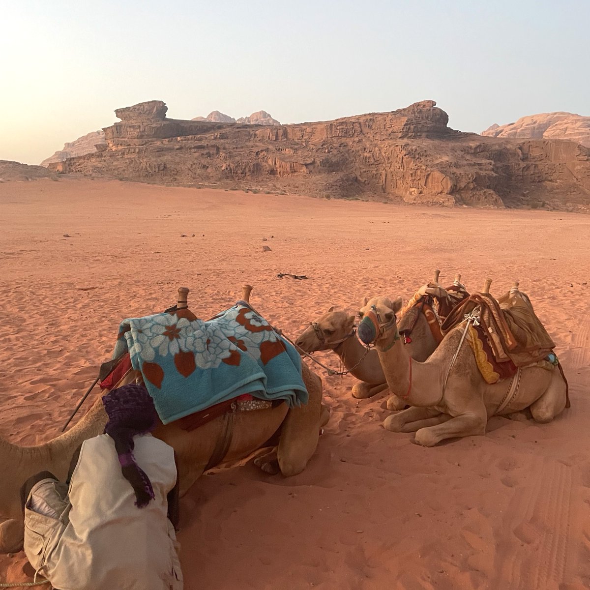 ivhq's tweet photo. "#Volunteering in #Jordan taught me how valuable life is &amp; allowed me to experience their culture &amp; understand how important #genderequality is around the world."

📸 Alice, 20, UK
🔗 https://t.co/x8tBfk4tMM

#IVHQ #volunteer #volunteerabroad #volunteertravel #travelwithapurpose https://t.co/etLTgFnYqy