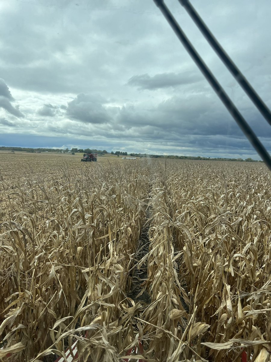 Chuck Weldon tweet media