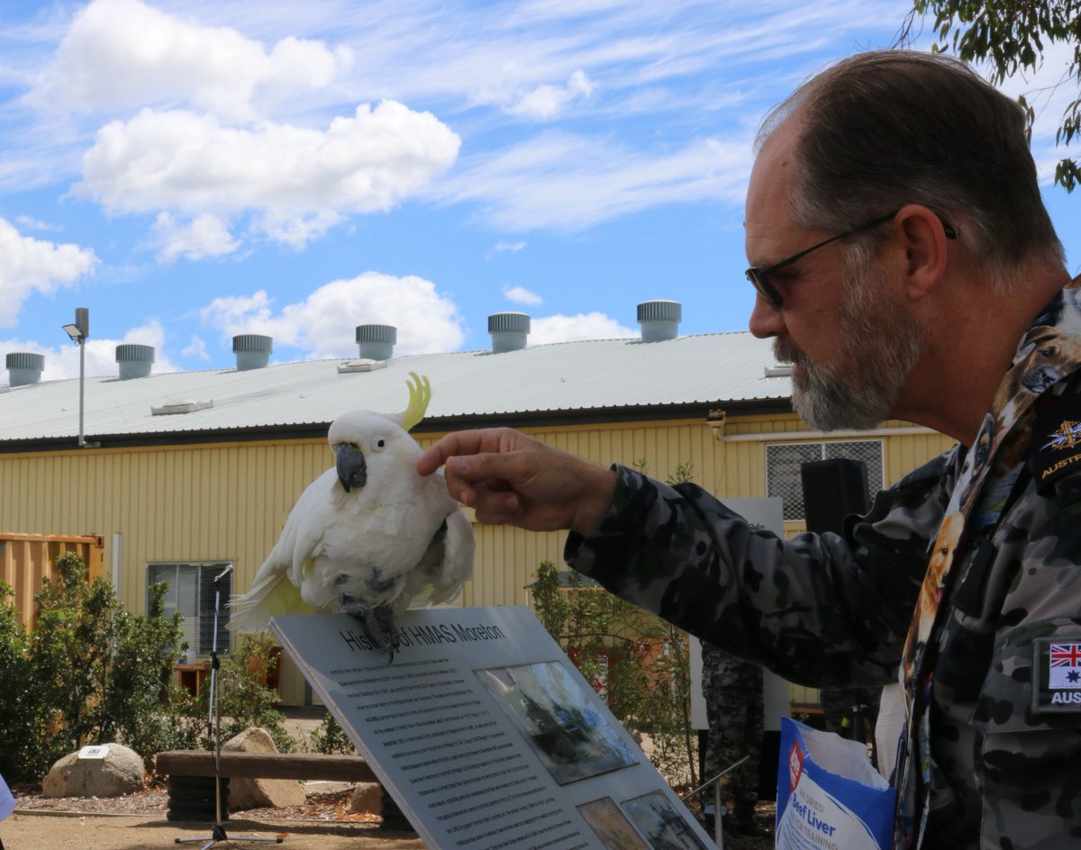 Defence Australia tweet media