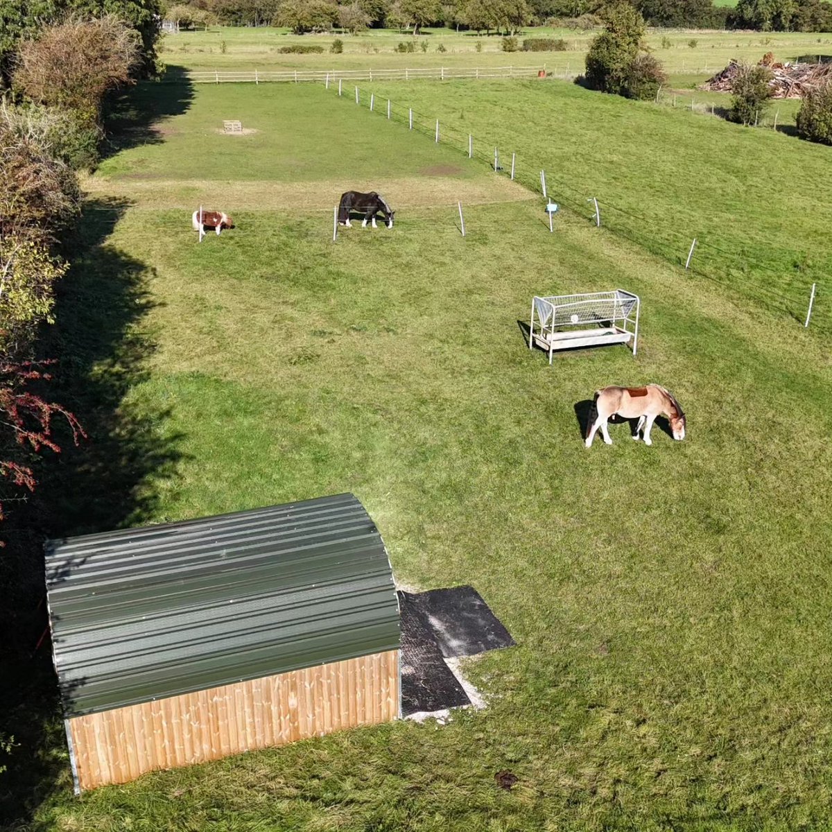 Stevie Joy #LCFC tweet media