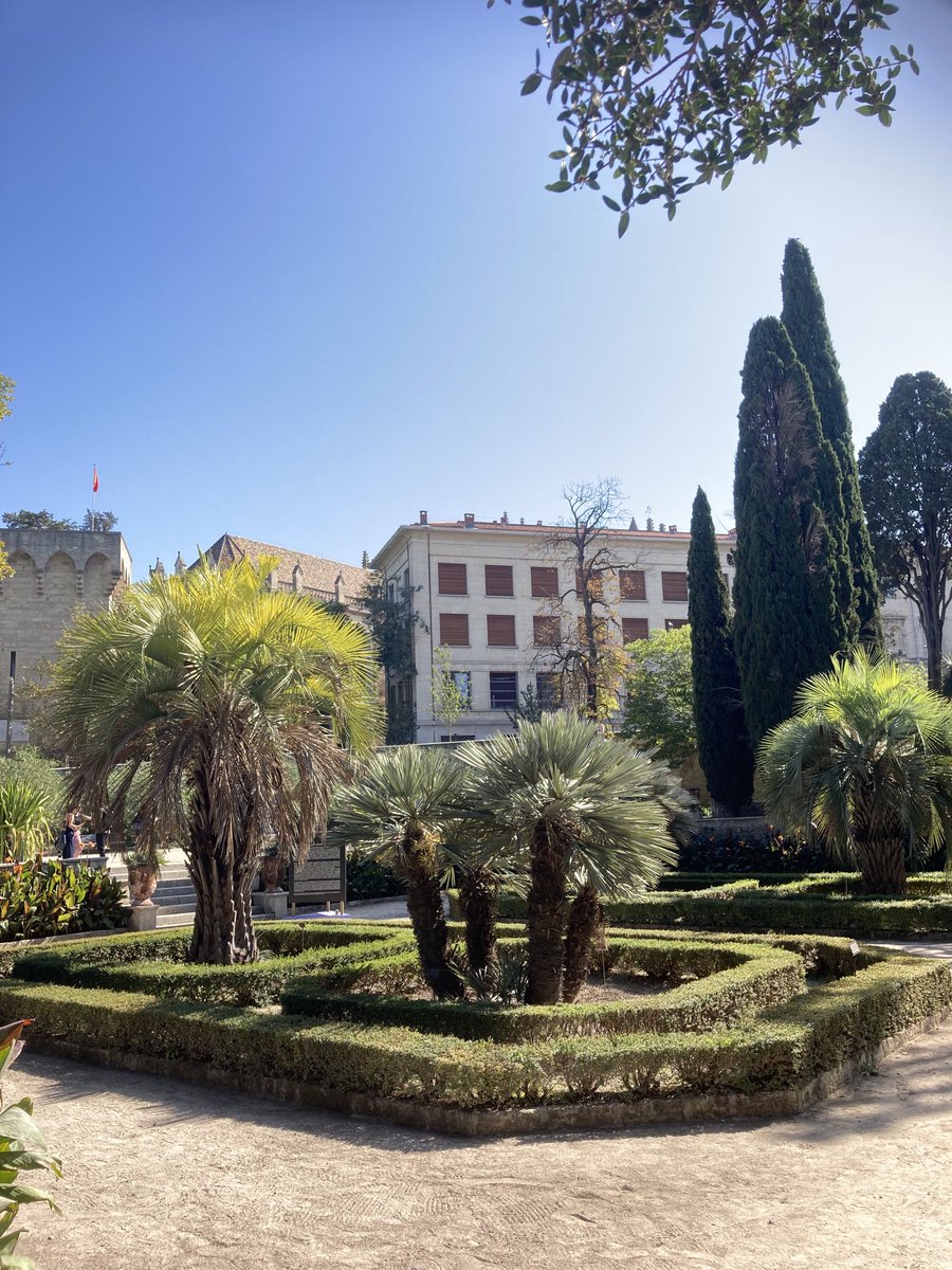 OneHealthEnto's tweet image. Last week @BugproofBugprof and @Anopheline ‘trained’ to Montpellier for a workshop on ‘The greening of cities and the effects on vectors’ organized by @ird_fr. Aedes albopictus still very active in the (beautiful) botanical gardens and nearby city center.