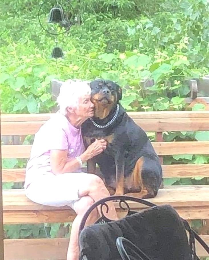 💖 (@twaniimals) on Twitter photo 