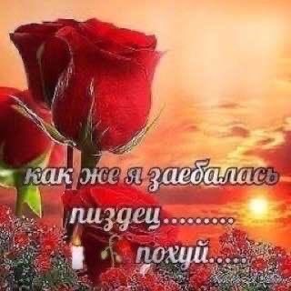 lo1chmo's tweet photo. привет https://t.co/CP8cSf57eL