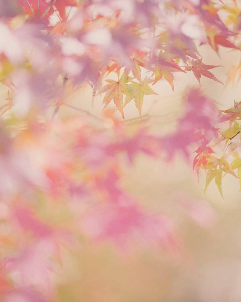 👇👇👇👇 #花咲くいろは #02に続き篠原俊哉さんご担当です  
Original: hanairo_photo