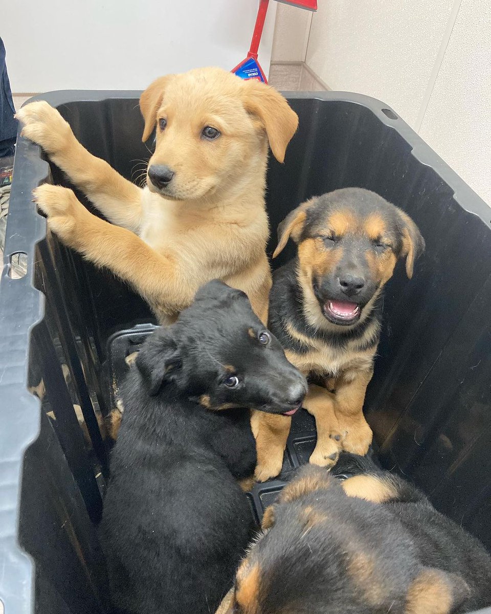 Graphdinner111's tweet image. Cute