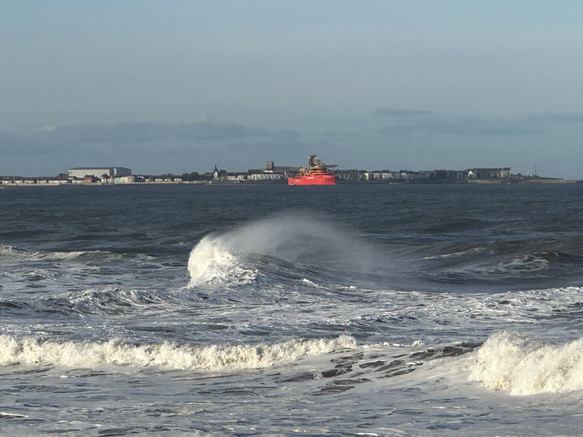 JuQuacker's tweet image. Seaton Sands WeBS late afternoon with amazing waves. Sanderling 20, Common Scoter 53, Red-throated Diver 1, Guillemot 1, Cormorant 1, Blk Headed Gull 3 &amp;amp; Herring Gull 63. Also 2 Harbour Porpoise. @teesbirds1 @TeesmouthNNR