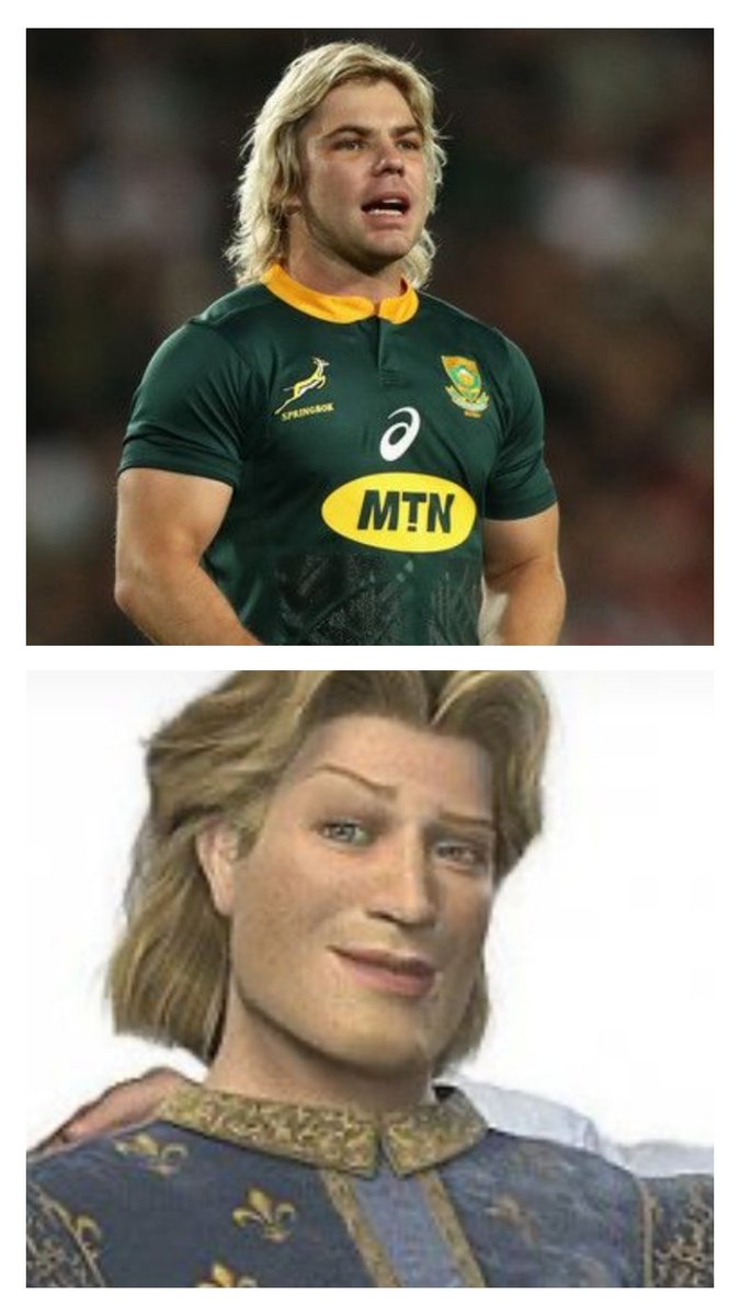 Je ne savais pas que Charmant jouait. #FRAvRSA #shrek