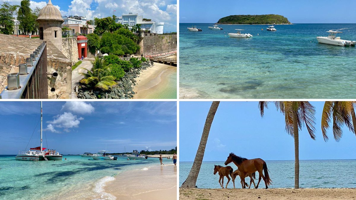 SherianneKay | Out of Office | Travel Blog (@sheriannekay) on Twitter photo Ready to explore the beauty of Puerto Rico? Check out our complete travel guide for insider tips and must-see destinations! bit.ly/3M1D7tL via <a href="/sheriannekay/">SherianneKay | Out of Office | Travel Blog</a> #LiveBoricua #DiscoverPuertoRico Ready to explore the beauty of Puerto Rico? Check out our complete travel guide for insider tips and must-see destinations! bit.ly/3M1D7tL via <a href="/sheriannekay/">SherianneKay | Out of Office | Travel Blog</a> #LiveBoricua #DiscoverPuertoRico