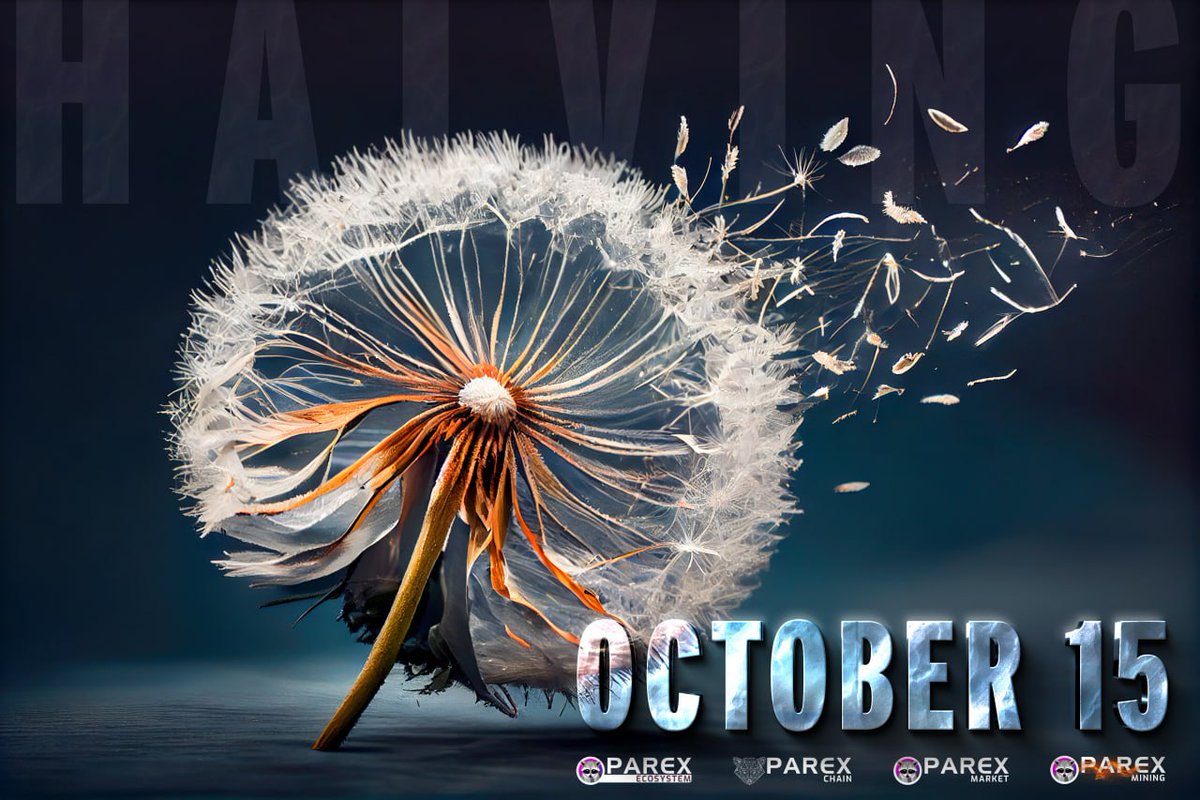 Today is #Halving Day!