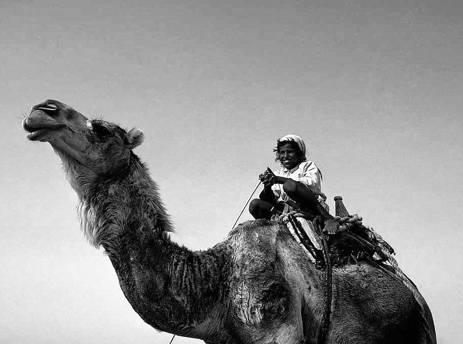 Poetghaim's tweet photo. " هــاجس الـعشـريـن " 

#غيم 
#iglt https://t.co/Bi6uhHrJvP
