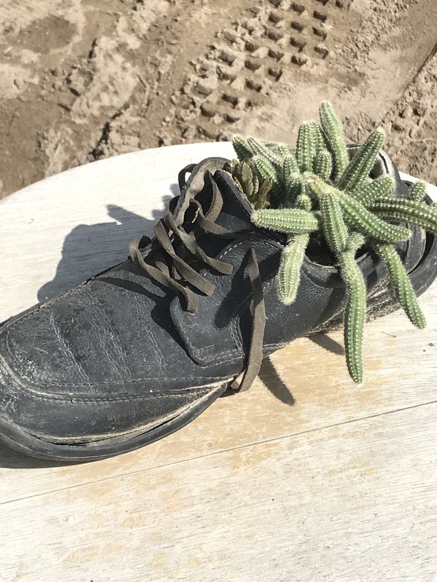 Ideas nuevas para los roperazos!