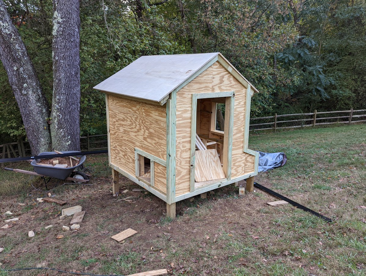 Hajrikolan's tweet photo. Coop update:
i am roof https://t.co/LAJlRA6Cxr