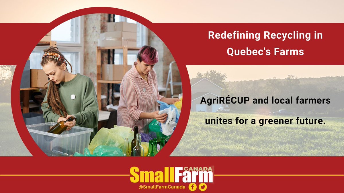 SmallFarmCanada's tweet photo. Quebec leads the way: agricultural plastics gets a second life!

Discover how @AgriRecup and local Quebec farmers join forces for a sustainable future.

Explore the #recycling initiative in our latest article 🔻

https://t.co/lk4bYh1Xxk

#CdnAg #Plastic #QuebecAg https://t.co/s23i1Jx3J4