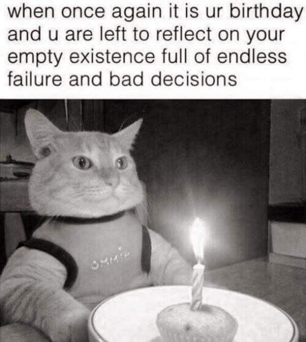 muse_a_reign's tweet photo. #birthdaygirl #lolcats #epicfail https://t.co/cnJuT70HDT