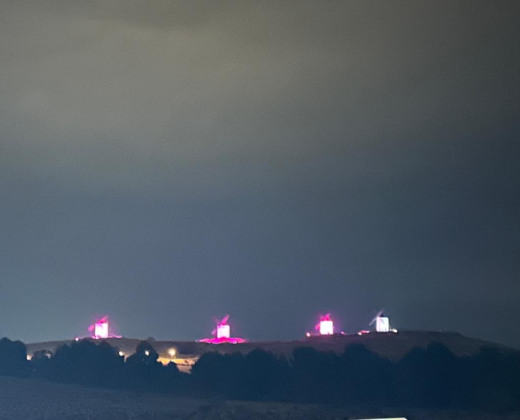 Los Molinos, Alcázar de San Juan
#NacisteYTeRecuerdo
#BabyLoss