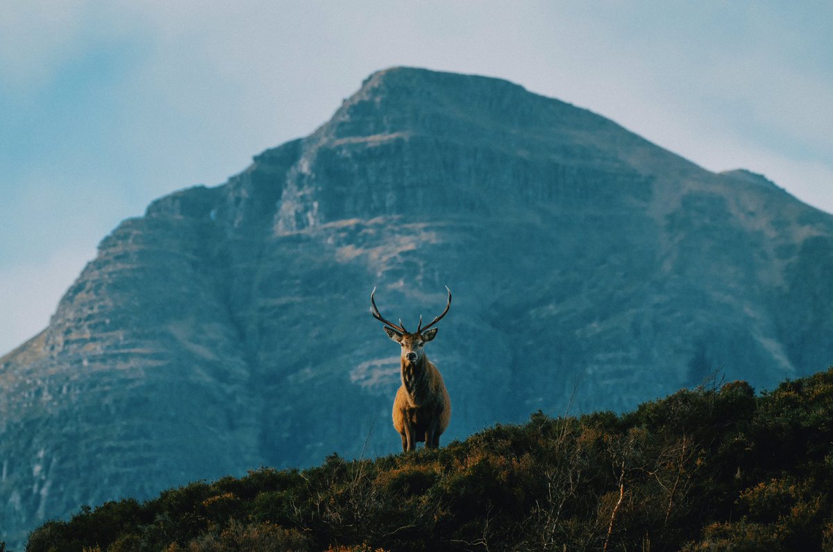 North Coast 500 🦌 ✨//