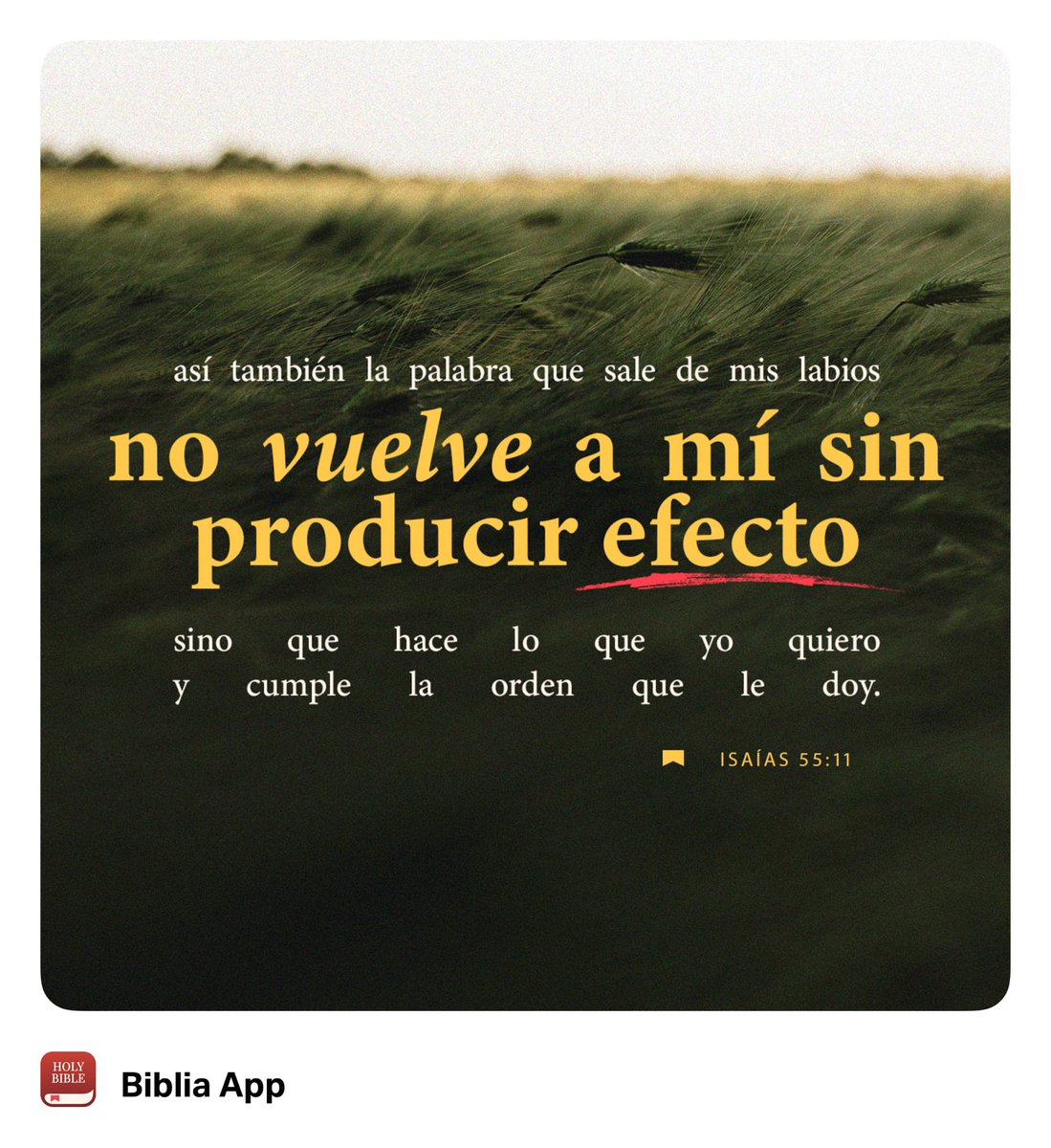 Pin de Flor de en Frases sabias | Frases religiosas, Agradecida con dios  frases, Frases espirituales, image size:1099x1200