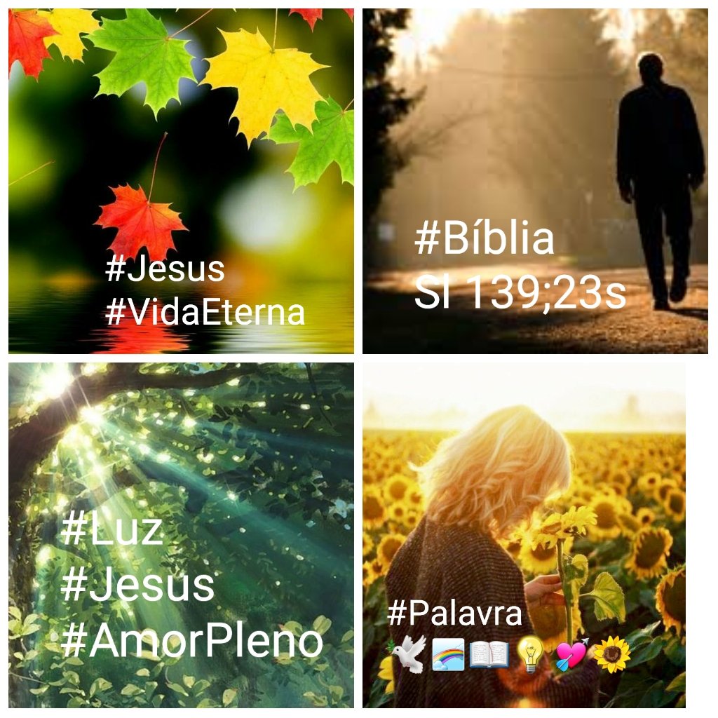 #Bíblia 🌈💘#TestemunhoDeJesus #evangelho <a href="/Rozane_Costa/">Rozane Santana</a>
"Jesus, porém,lhe respondeu: segue-me e deixa que os mortos enterrem os seus mortos "( Mt 8,22; Ap6,8)" Deus tem o poder de transformar a vossa mentalidade (Rm 12,2 ) # Equilíbrio dá Sagrada Escritura