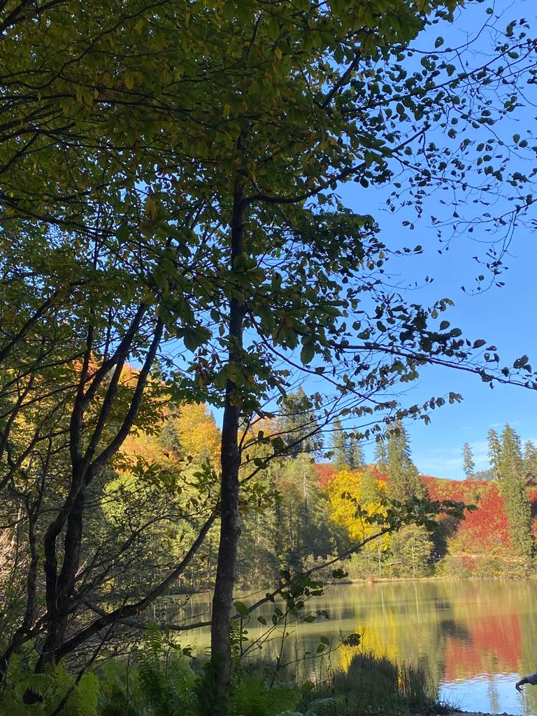 Bu renklerrr şaka mıı¿