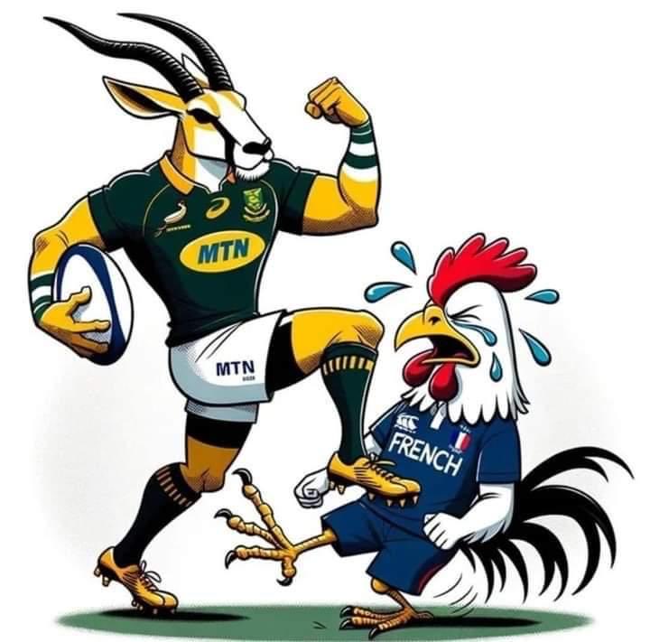 Go Bokkes #FRAvRSA #TeamSouthAfrica