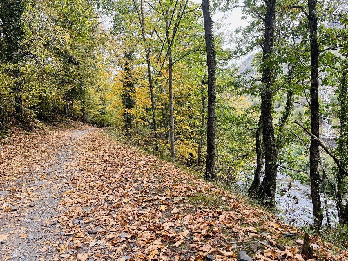 Sanoteo's tweet photo. El #otoño es tiempo de #maduración, de soltar y de #sembrar. Una estación para la #reflexión #Autumn 🍂🍁 https://t.co/Lnv7snB2xv