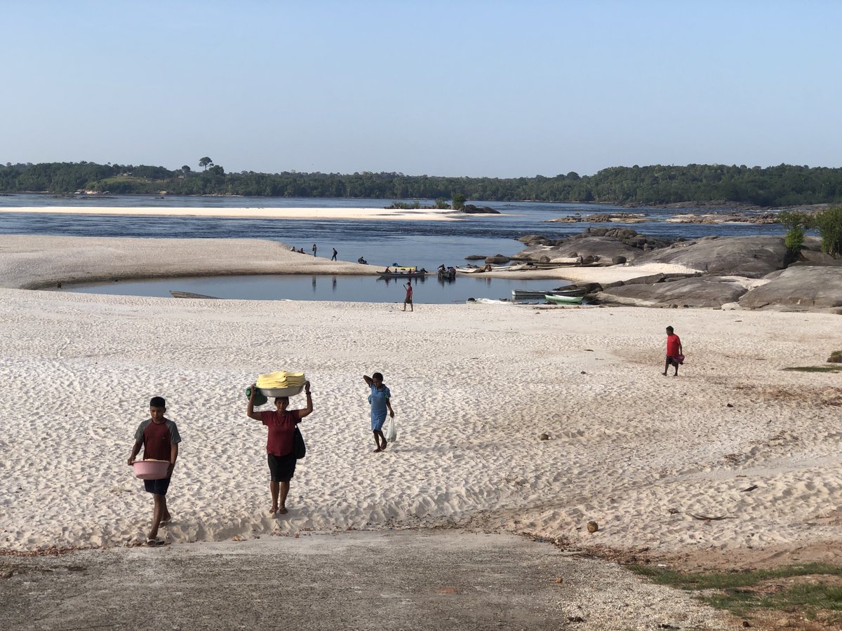Seca extrema atinge São Gabriel da Cachoeira, uma das regiões mais preservadas da Amazônia! Moradores convivem com a falta de itens básicos. No território indígena, os igarapés estão baixando, dificultando o acesso às roças. Segue o fio!  🧶
📸 Walter Lopes da Silva/AIMA