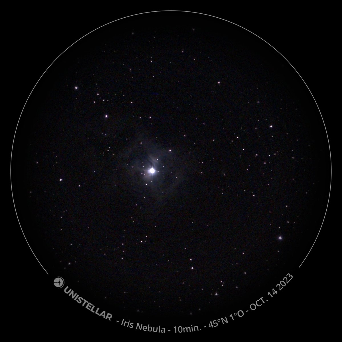 Manon Pujol tweet media