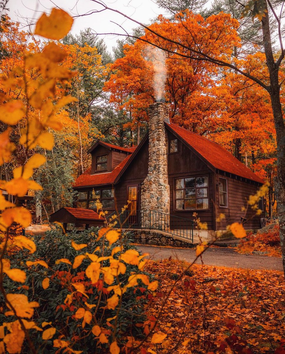 OctobersLeavess's tweet photo. I wish I could spend all of Fall here! 😍🍂🎃🍁 https://t.co/7amjPygL2U