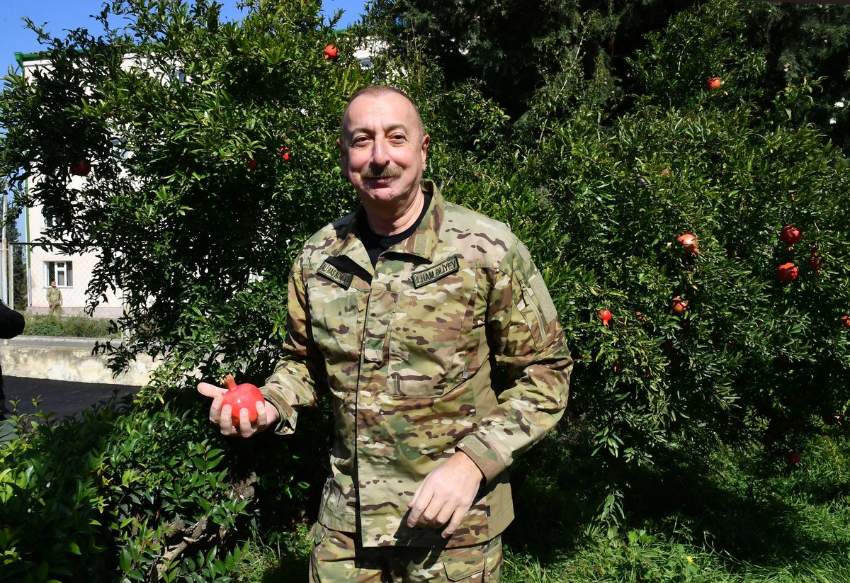 buczek_lech's tweet photo. Այս գողը հայկական թփից նուռ էր գողանում. Հետախուզվում է. https://t.co/vN9SIQZc4m