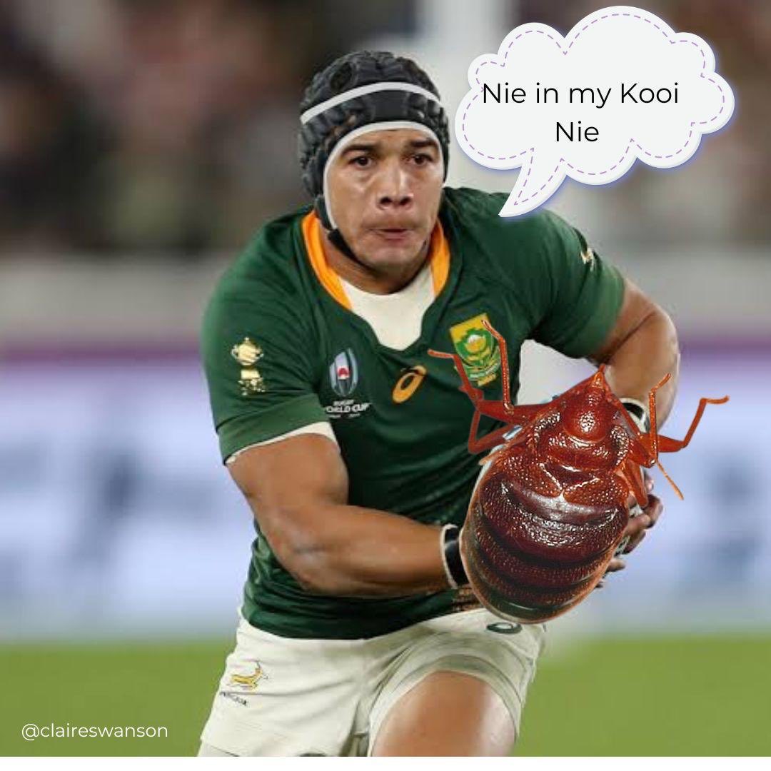 #sarugby #claireswanson #rugbyworldcup #southafrica #manofthematch #quaterfinals ⁦<a href="/CheslinKolbe/">Cheslin Kolbe</a>⁩