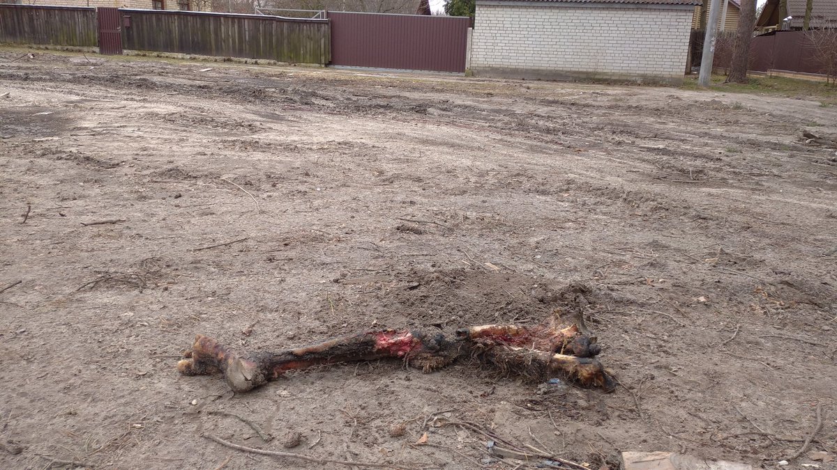 AseyevStanislav's tweet photo. I took these photos in Bucha, as soon as the Russians left there. These are civilians who were burned, and a leg gnawed by abandoned dogs. Anyone who has seen this knows the value of justice.
So, before you look for justice in Israel, remember that Ukraine never received it. https://t.co/lA7FhFuSNp