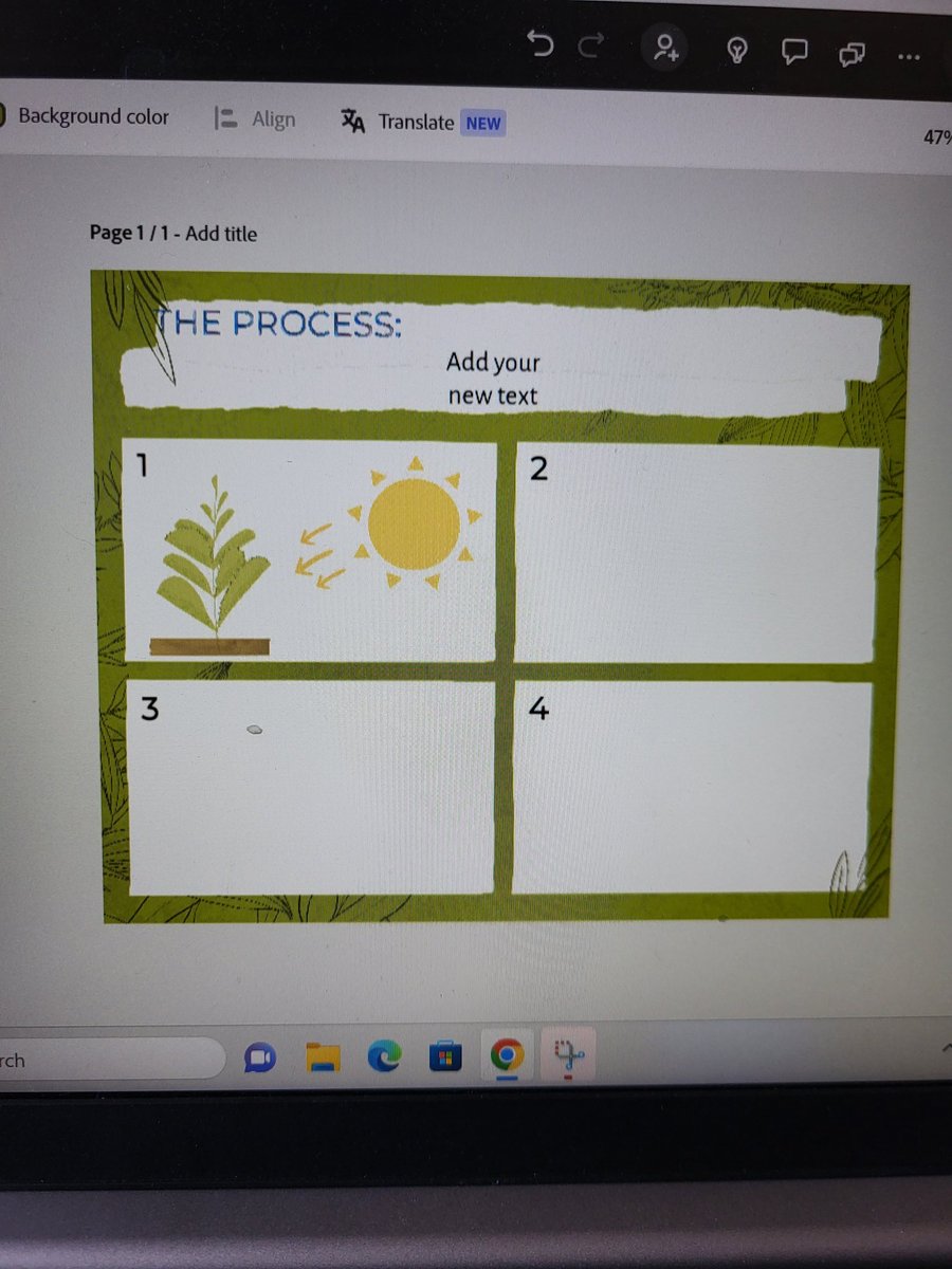 Kaitlyn Zoesch, M. Ed tweet media