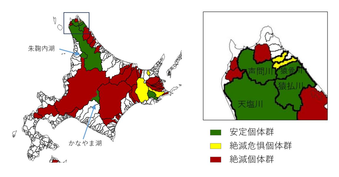 pete_rand's tweet photo. When we identified all the threats to イトウ many years ago, we never considered wind power! I hope Japan can recognize the harm this wind farm could do to important habitat for these fish and everything else living in those forests!
https://t.co/wDJma4TwEc https://t.co/CKRR0DDwlG